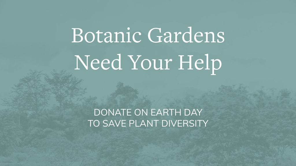 News Events Botanic Gardens Conservation International