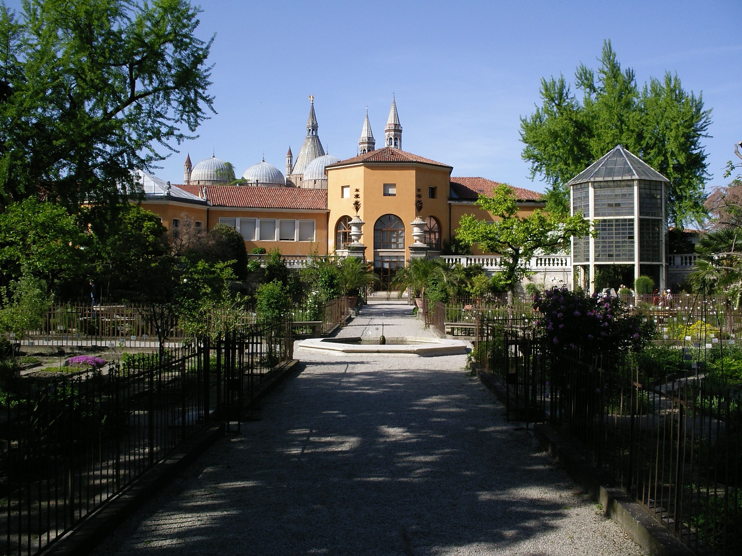 Padua Botanic Garden