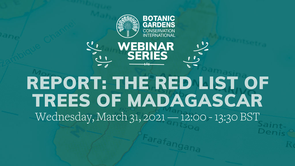 Red List of Trees of Madagascar