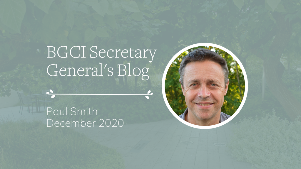 December 2020 Secretary General's Blog