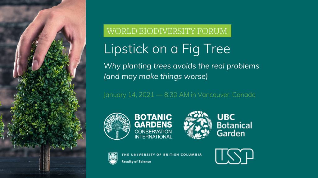 Lipstick on a Fig Tree