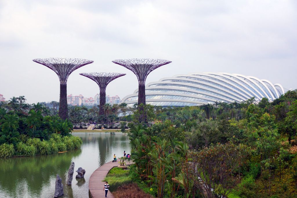 Dragonfly Lake and Flower Dome, Gardens by the Bay - Allie Caulfield