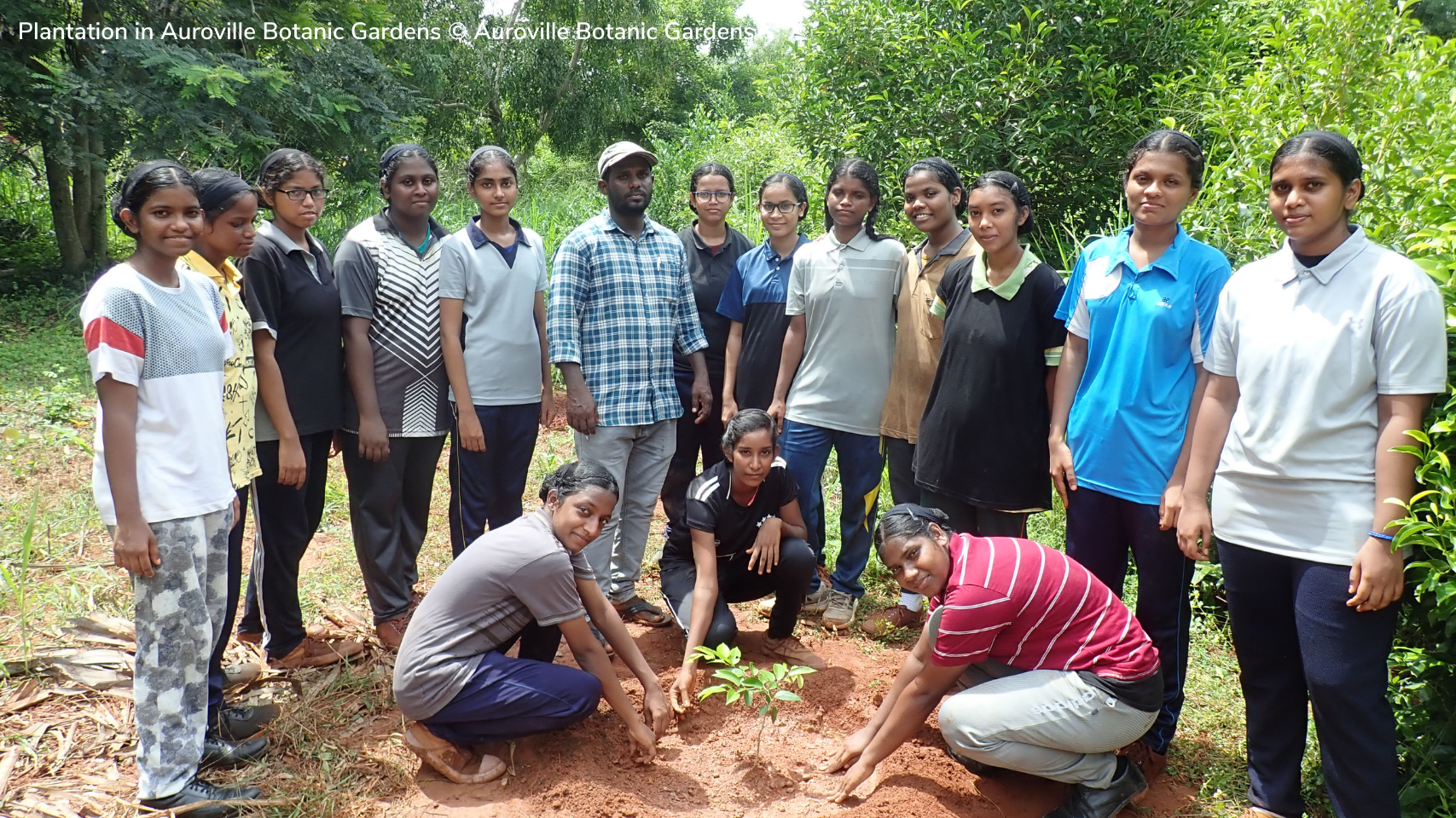 Plantation in Auroville BG