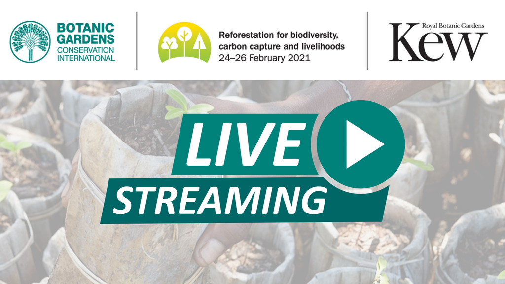 Livestreaming Reforestation Conference
